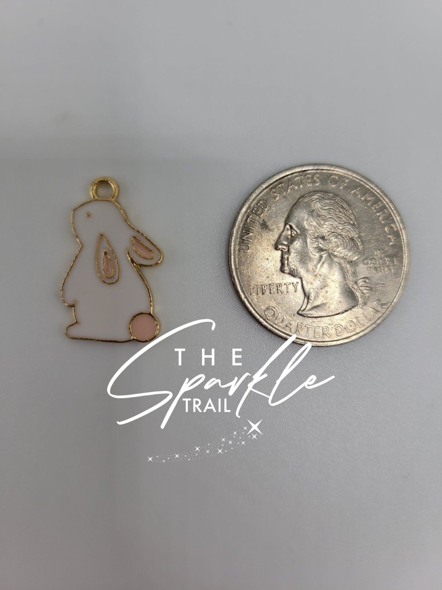 Bunny Charm