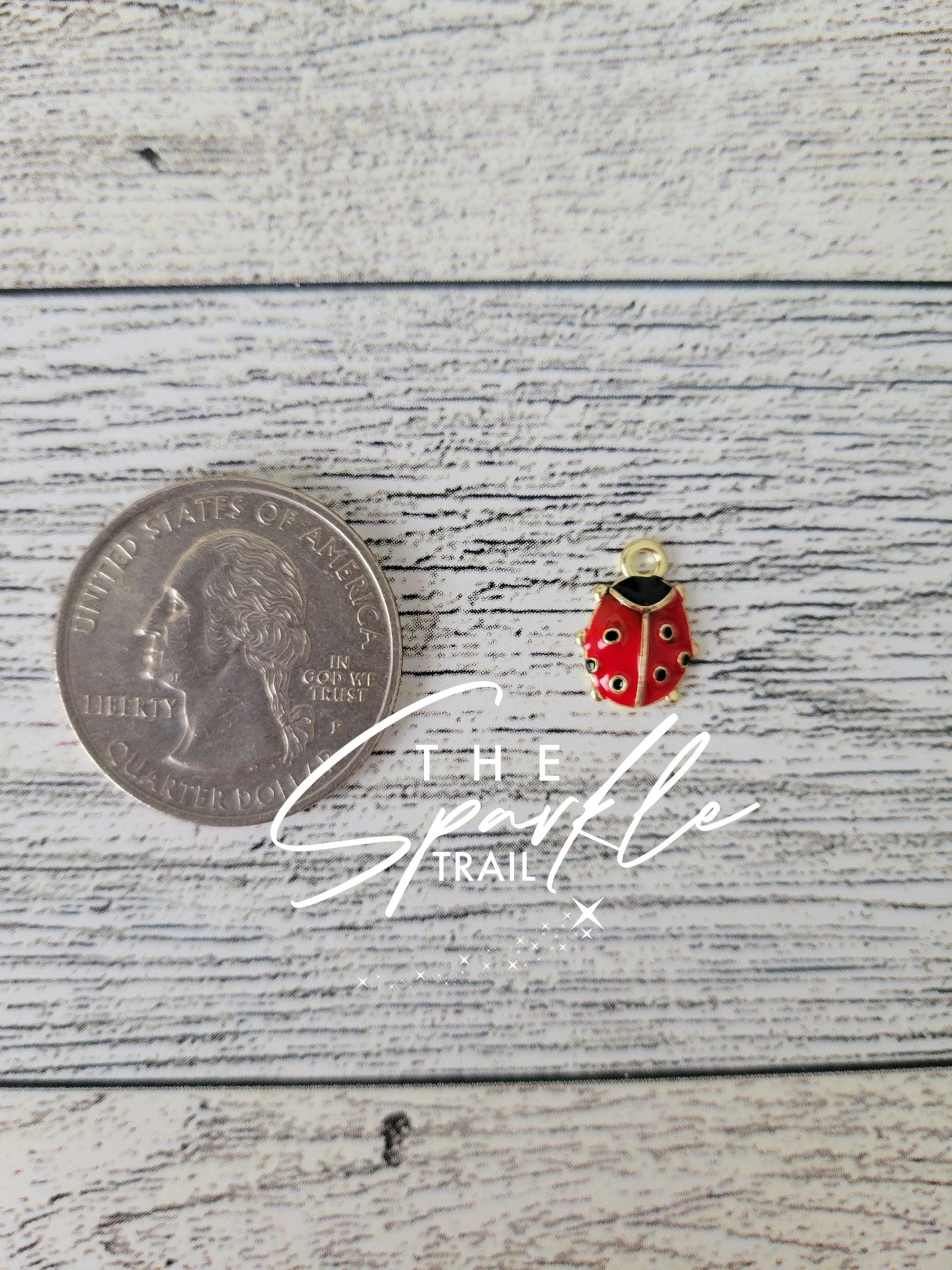 Small lady bug charm