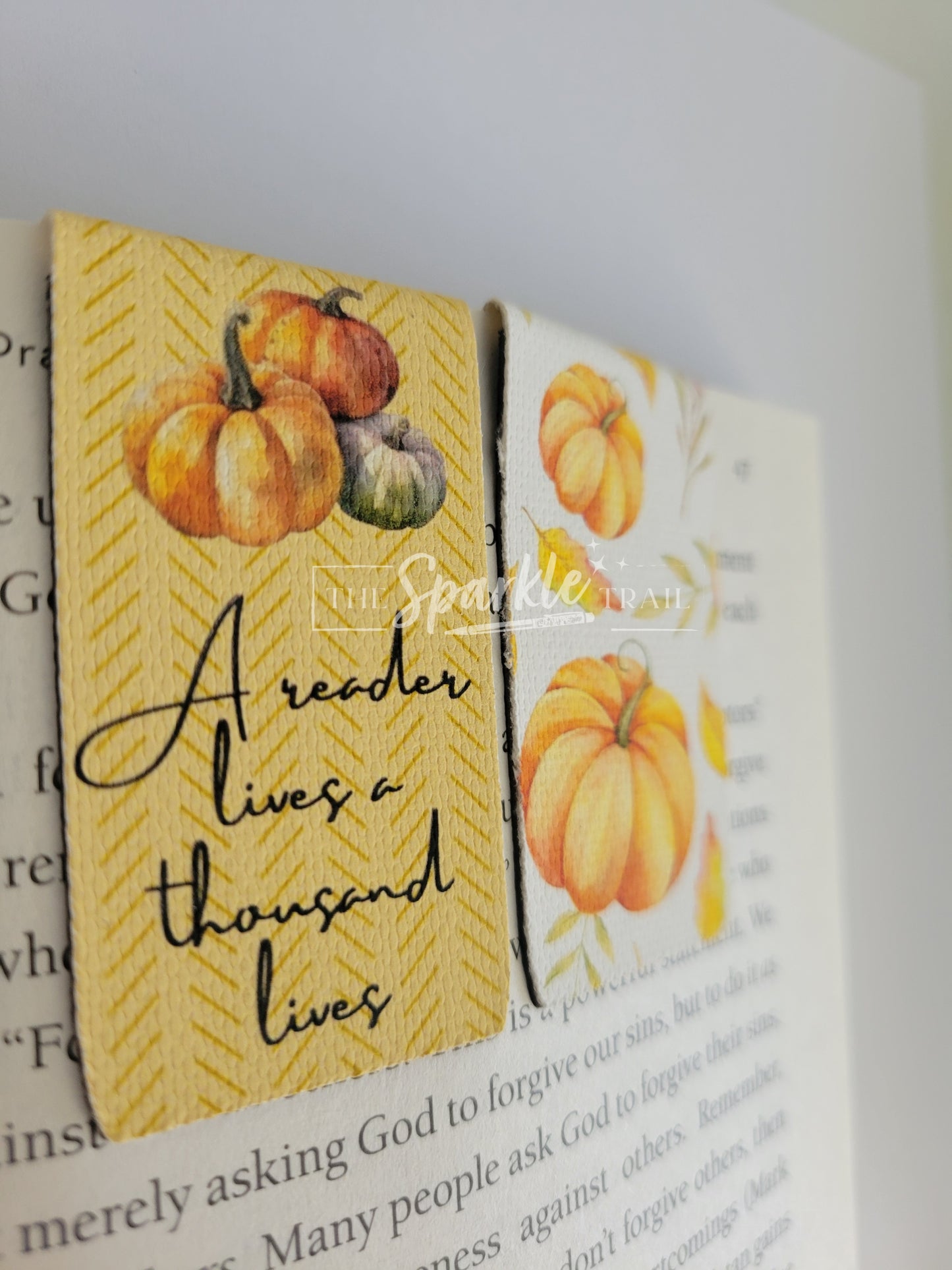 A reader lives a thousand live Magnetic Bookmark